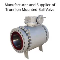 Trunnion Mounted Ball Valve