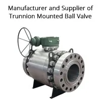 Trunnion Mounted Ball Valve