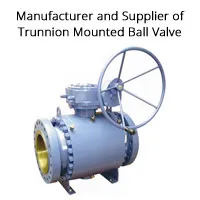 Trunnion Mounted Ball Valve